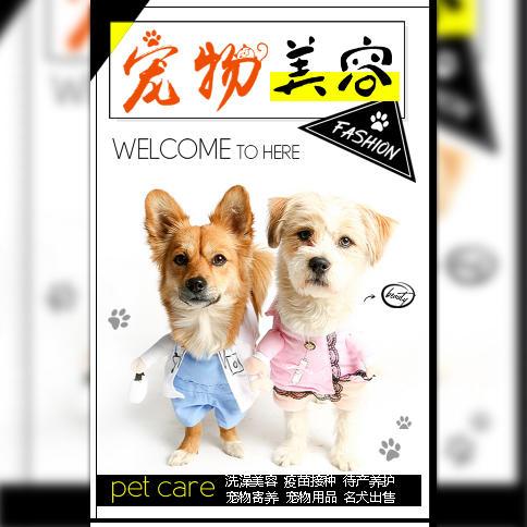 萌宠生活馆 宠物店产品促销 宠物粮食用品美容医疗